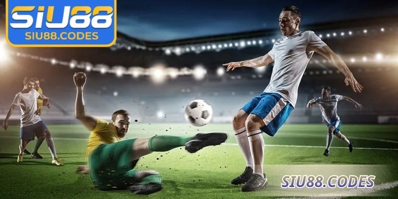 Bí quyết cho hội viên áp dụng khi đặt cược 1/2