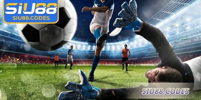 Tỷ lệ kèo 0.5-1 xuất hiện khi đội cửa trên mạnh hơn