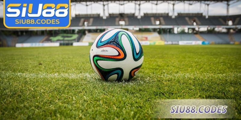 Lưu ý cần biết khi trải nghiệm cá cược nhà cái