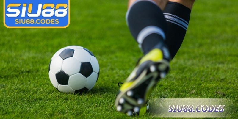 Thông tin khái quát về kèo 1x2 Siu88 
